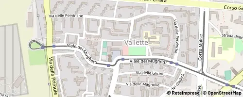 Mappa Turijn