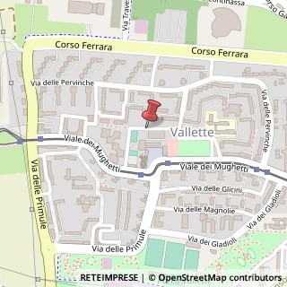 Mappa Via delle Verbene,  11, 10151 Torino, Torino (Piemonte)
