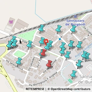 Mappa Via Albino Cei, 27039 Sannazzaro de' Burgondi PV, Italia (0.13793)