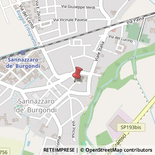 Mappa Via Santissimi Nazario e Celso, 29, 27039 Sannazzaro de' Burgondi, Pavia (Lombardia)