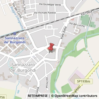 Mappa Via SS. Nazzaro e Celso, 28bis, 27039 Sannazzaro de' Burgondi, Pavia (Lombardia)
