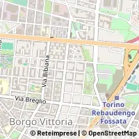 Peta Torino