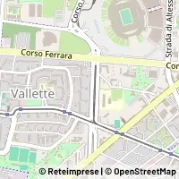 Peta Torino