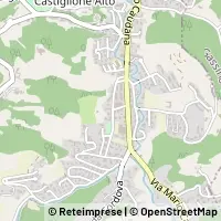 नक्शा Castiglione Torinese