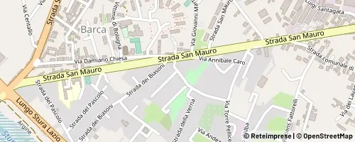 Mappa Turin