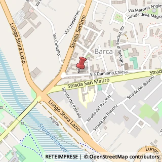 Mappa Via Damiano Chiesa, 13, 10156 Torino, Torino (Piemonte)