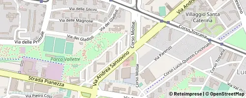 Mappa Turin
