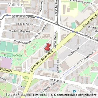 Mappa Via Andrea Sansovino, 13, 10151 Torino, Torino (Piemonte)