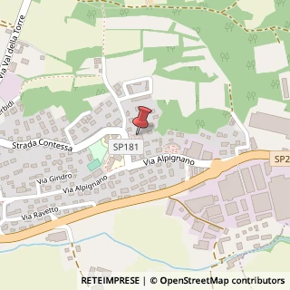 Mappa Strada Contessa, 101, 10040 Caselette, Torino (Piemonte)