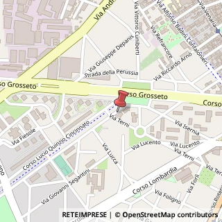 Mappa Corso Lucio Quinzio Cincinnato, 256/G, 10151 Torino, Torino (Piemonte)