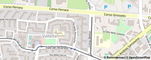 Mappa Torino