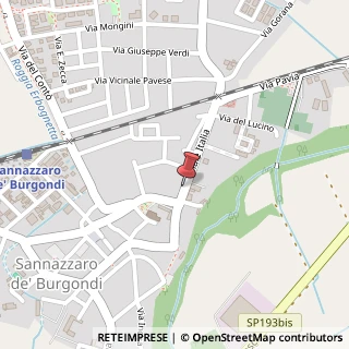 Mappa Viale Italia, 13, 27039 Sannazzaro de' Burgondi, Pavia (Lombardia)