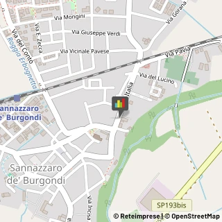 ,27039Pavia