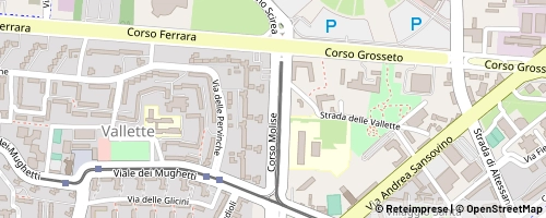 Mappa Turin