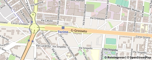 Mappa Torino