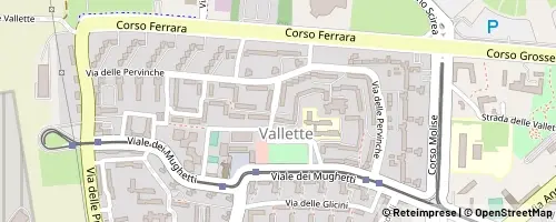 Mappa Turin