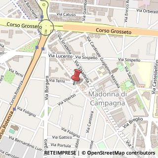 Mappa Via Terni, 1, 10149 Torino, Torino (Piemonte)