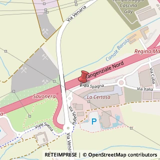Mappa Piazza San Maria Maggiore, 6, 10093 Collegno, Torino (Piemonte)