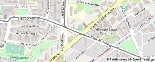 Mappa Torino