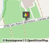 Vini e Spumanti - Produzione e Ingrosso San Pietro Vernotico,72027Brindisi