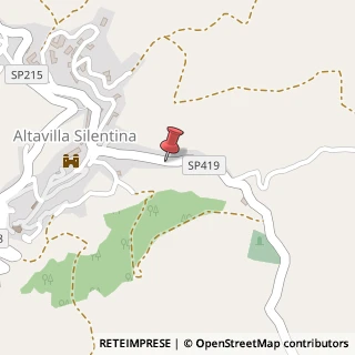 Mappa Via Borgo San Martino, 130, 84045 Altavilla Silentina, Salerno (Campania)