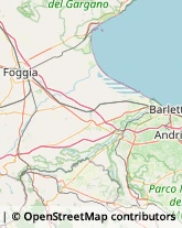 Conserve San Ferdinando di Puglia,76015Barletta-Andria-Trani