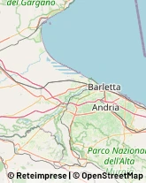 Consulenza alle Imprese e agli Enti Pubblici Canosa di Puglia,76012Barletta-Andria-Trani