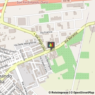 Palestre e Centri Fitness,76017Barletta-Andria-Trani