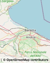 Ostetrici e Ginecologi - Medici Specialisti Margherita di Savoia,76016Barletta-Andria-Trani