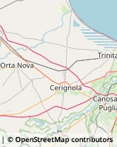 Cereali e Granaglie Stornara,71047Foggia