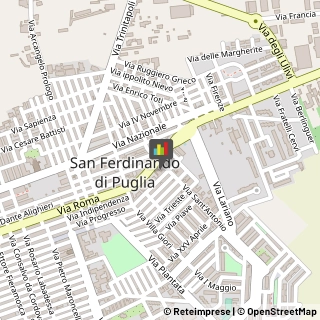 Palestre e Centri Fitness,76017Barletta-Andria-Trani