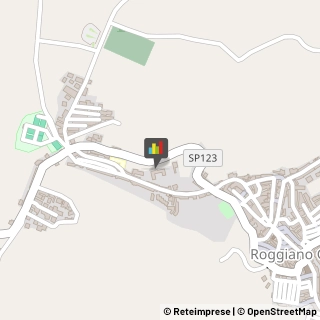 Case di Riposo e Istituti di Ricovero per Anziani Roggiano Gravina,87017Cosenza