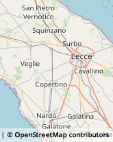 Ambulatori e Consultori Salice Salentino,73015Lecce