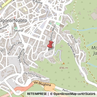 Mappa Via Antonio Mereu, 49, 08100 Nuoro, Nuoro (Sardegna)