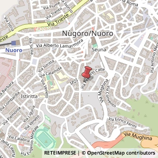 Mappa Via Peppino Catte, 70, 08100 Nuoro, Nuoro (Sardegna)