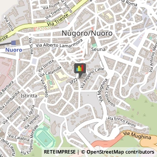 Imprese Edili,08100Nuoro