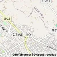 Kort Cavallino