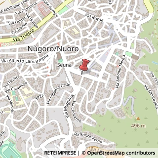 Mappa Via Alessandro Manzoni, 28, 08100 Nuoro, Nuoro (Sardegna)