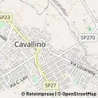 Hartă Cavallino