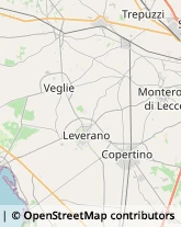 Tour Operator e Agenzia di Viaggi Copertino,73043Lecce