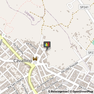 Amministrazioni Immobiliari Cavallino,73020Lecce