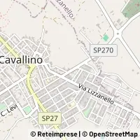 Peta Cavallino