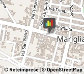 Tour Operator e Agenzia di Viaggi,80034Napoli