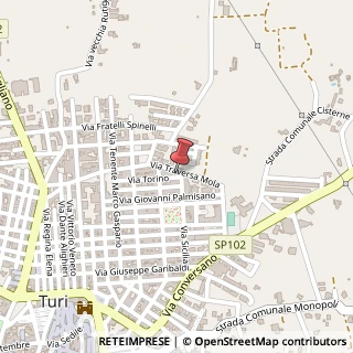 Mappa Strada Mola, 34, 70010 Turi, Bari (Puglia)