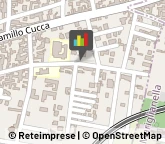 Autofficine e Centri Assistenza,80031Napoli