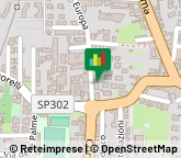 Giardinaggio - Servizio,80017Napoli