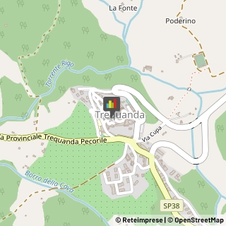 Agenzie ed Uffici Commerciali Trequanda,53020Siena
