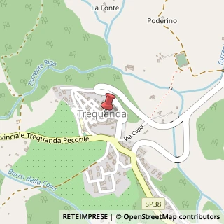 Mappa Piazza Giuseppe Garibaldi, 13, 53020 Trequanda, Siena (Toscana)