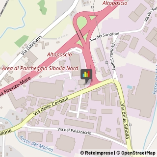 ,55011Lucca