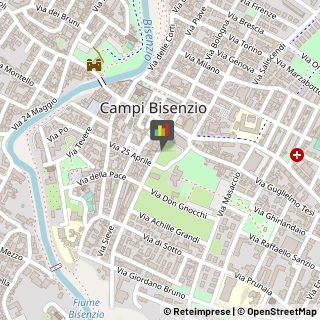 Giornalisti Campi Bisenzio,50013Firenze